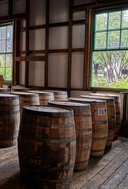 Barrels standing on end on a plank floor beside a tall green-framed window