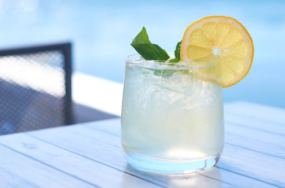 A pale highball with mint and a lemon wheel on a sunny table